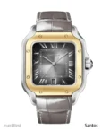 Cartier Santos Steel Gold Watch