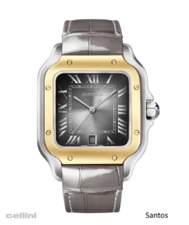Cartier Santos Steel Gold Watch