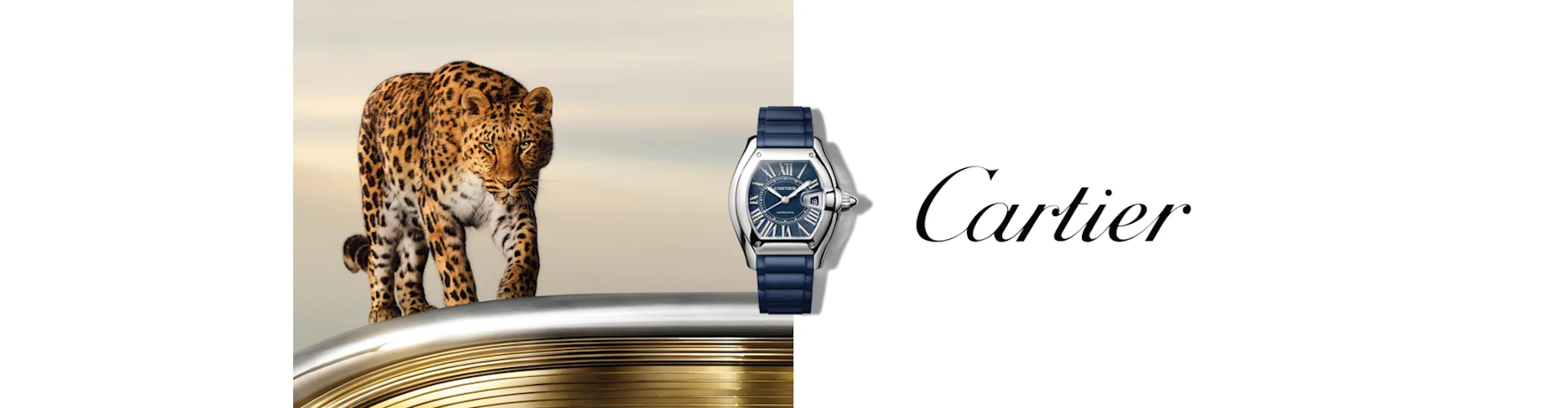 cartier Roadster Watches