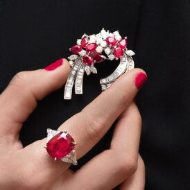 Ruby and Diamond Spray Brooch