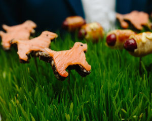 Dogs two ways: traditional all-beef hot dogs in a blanket and smoked salmon shaped dogs, by Peter Callahan Catering