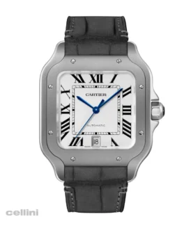 Cartier de Santos Titanium Watch