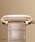Parmigiani Fleurier TORIC Quantieme Perpetual Anniversary Watch