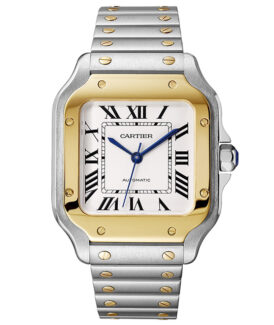 Santos de Cartier, Medium