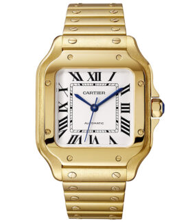 Santos de Cartier, Medium